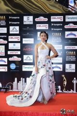 South Indian International Movie Awards 2016 Day 2